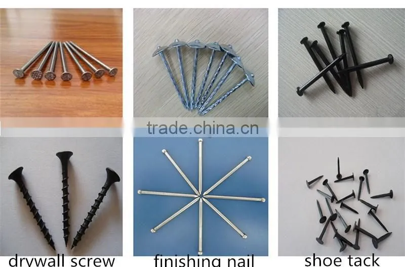 top quality galvanized twisted shank roofing nail screw nail with plastic cap
