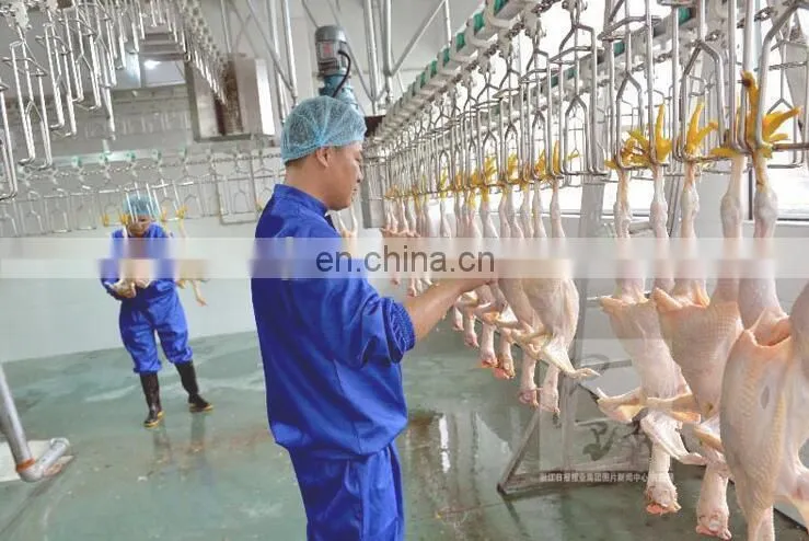 Halal Chicken Slaughter Machine Line/Poultry Slaughter Machine