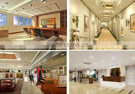 Newstyle ! High lumens COB 24W led downlight 24W