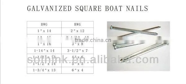 Galvanized Square Boat Nail for building