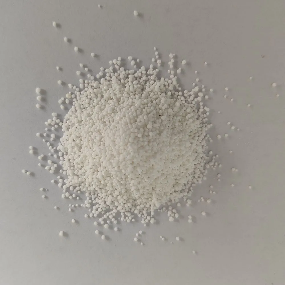包被丁酸钠2