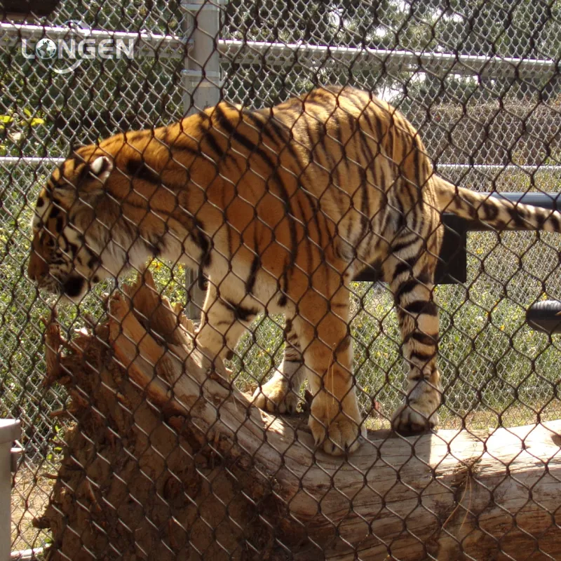Zoo Tiger Enclosure