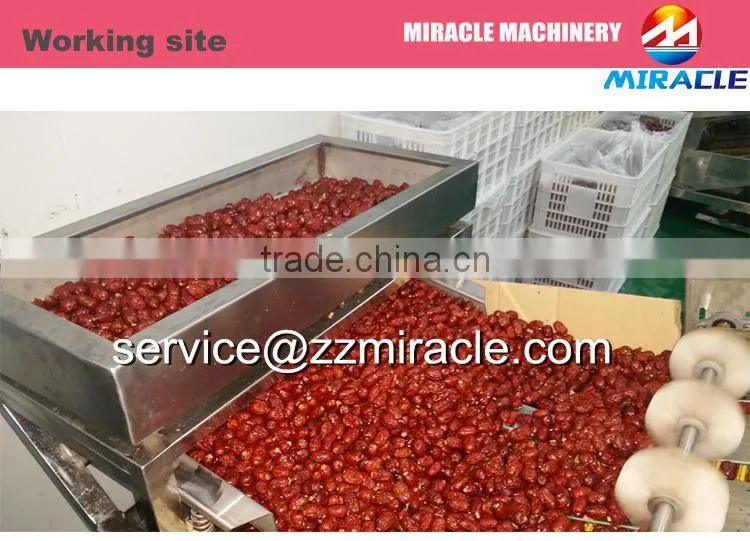 Hot selling dried dates cutter slicing stainless steel machine price