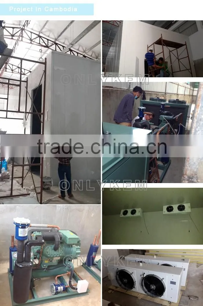Air cooled evaporator , refrigeration unit cooler , cold room evaporator