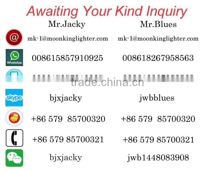 Customized logo print plastic electronic LED torch lighter