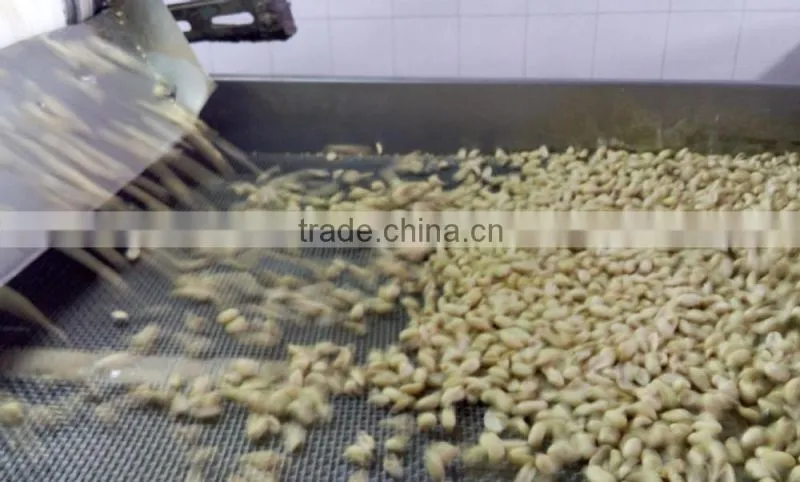 blanched peanut blanched peanuts