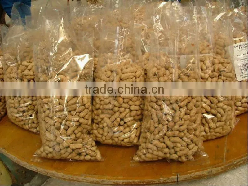 Best Price Roasted Peanut in shell for sale