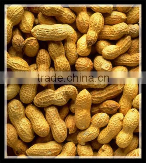 Peanut Butter Making Machine/Peanut Butter Process Line/processing plant