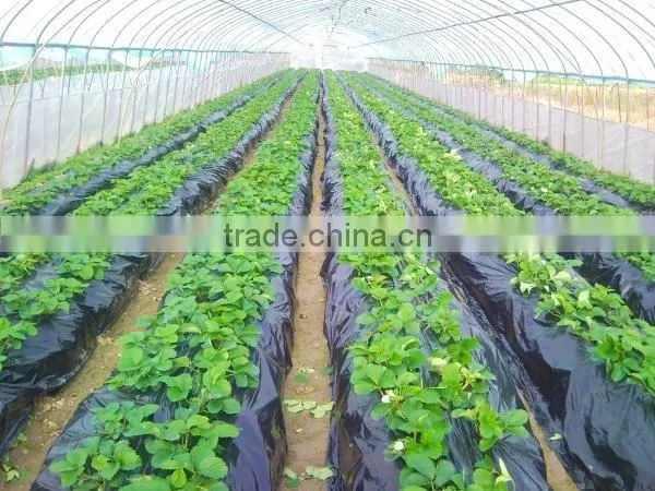 PE Plastic Black-Silver plastic Mulch Film Punch Hole /agricultural mulch film/biodegradable mulch film