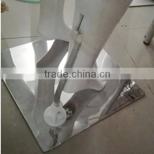 Wholesale Price Plastic Female Mannequin for Clothes Store