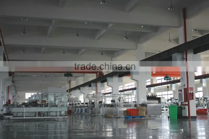 Automatic Cartoning Machine (XWZ-120B )