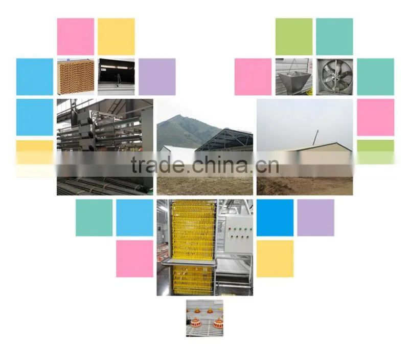 Long Lifespan Steel Structure Workshop