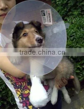 plastic dog protection cover