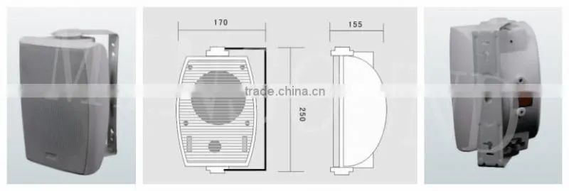FT-205 professional indoor and out door wall speaker, pa speaker
