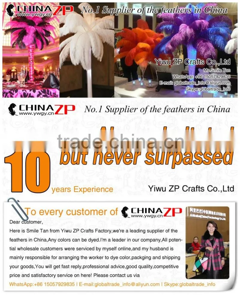 ZPDECOR Wholesale Cheap Bulk Pink Half Dipped Bicolourable Turkey Feathers for Fashion Decorations