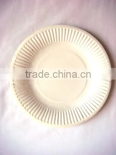 100% Compostable Paper Plates Made By Sugarcane Pulp
