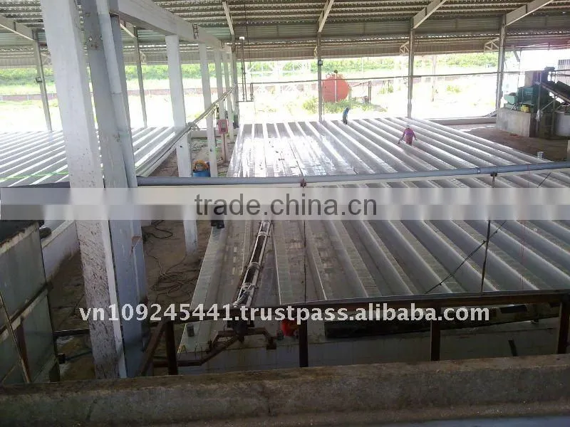 Vietnam natural rubber factory