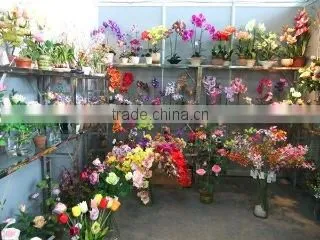 Qingdao Colorful World International Trade Co., Ltd. company overview - view 2