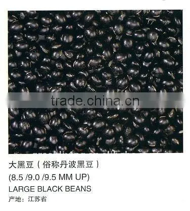 2011 lowest price black eye bean(dry )