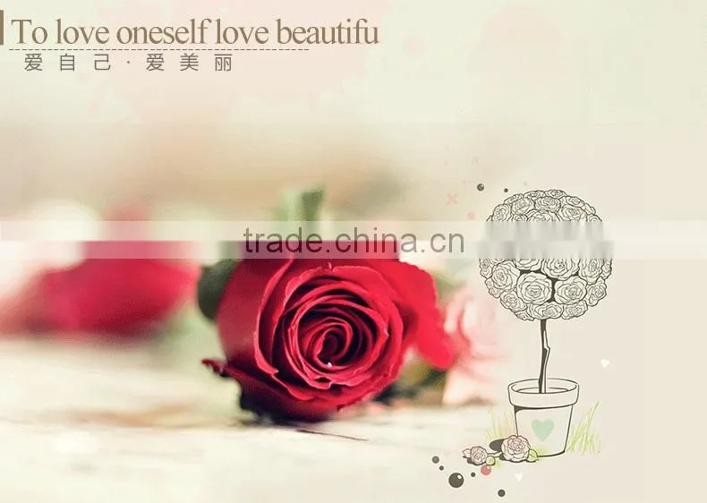 Export cut fresh flower of red rose flower from china