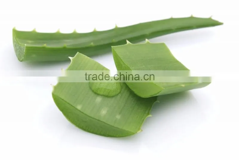 Beauty Products Aloe Vera Gel.
