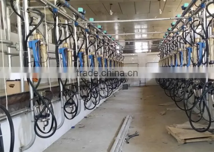 Dairy Farming Milking Equipment Automatic Milking Parlor