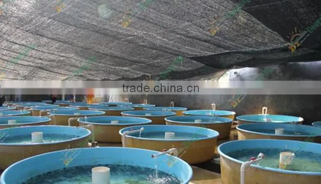 fish tank fiberglass