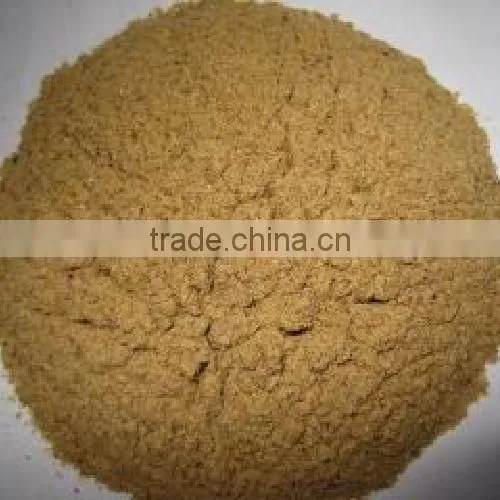 meat bone meal hot sale (MBM)