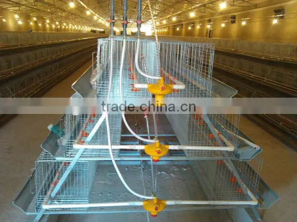 broiler chicken house