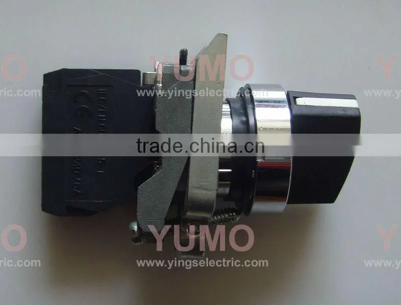 LAY4-BD25 2 position stay put push button switch