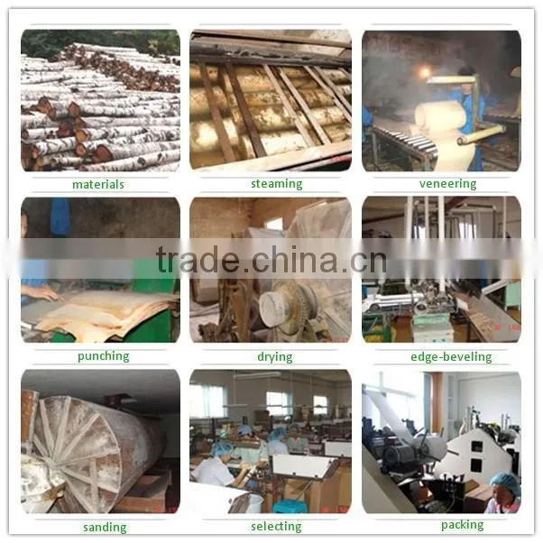 2014 Best Seller Chinese Wholesale Disposable Flatware & Cutlery