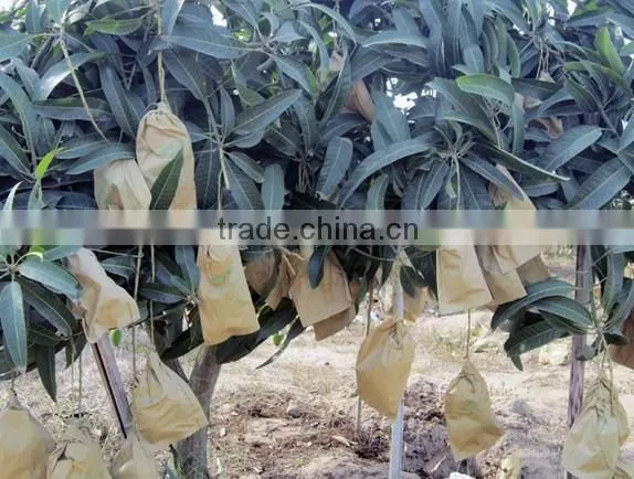 Different sizes fruit protection paper bag