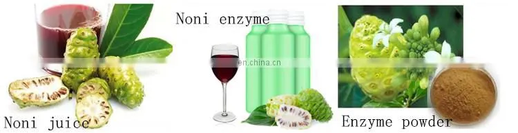 industrial Fresh noni juice making machine