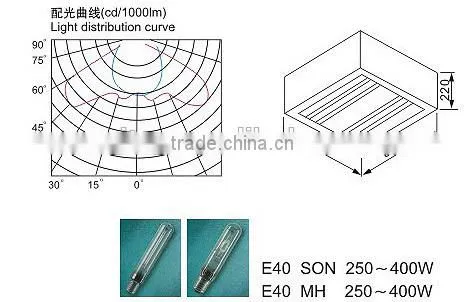 250- 400W Die-casting Aluminium MH/SON IP65 gas station lamp