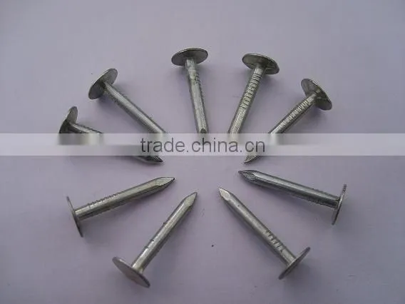roofing nail with umbrella head