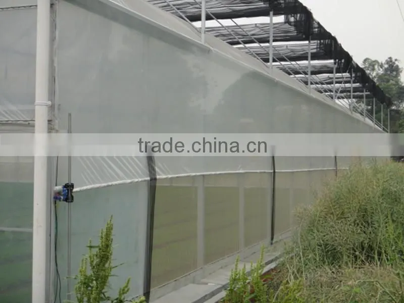 Greenhouse Net Covered Outside