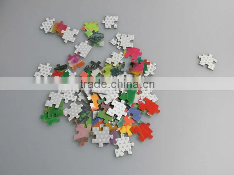 Hot sale Factory Kids funny PET 3D puzzle