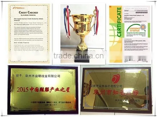 High tenacity 100 polyester sewing thread for furniture leather shoes