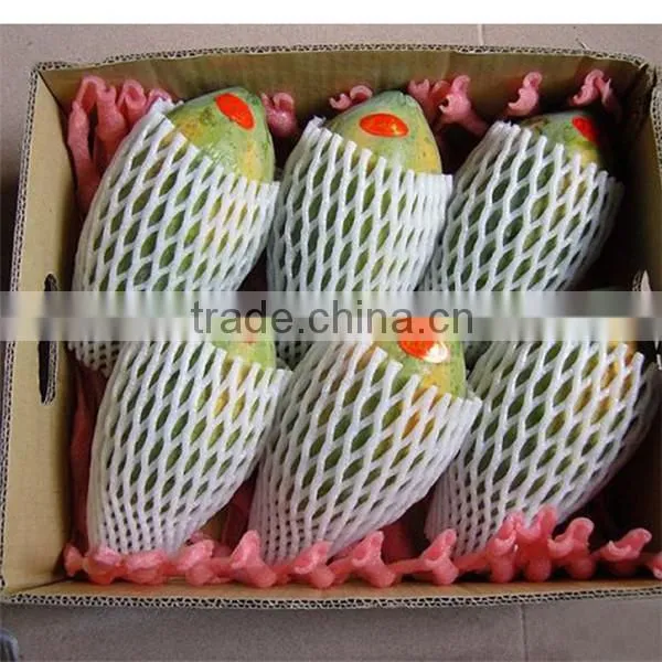 Hot selling good quality EPE foam fruit net