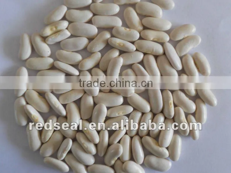 Yunnan Organic white kidney beans