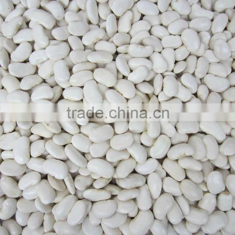 Low price large white kidney beans
