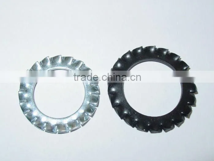 External teeth serrated lock washers