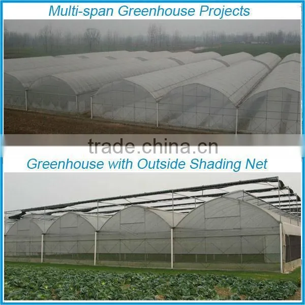 Multi-span plastic film greenhouse and forever flowering auto blackout greenhouse