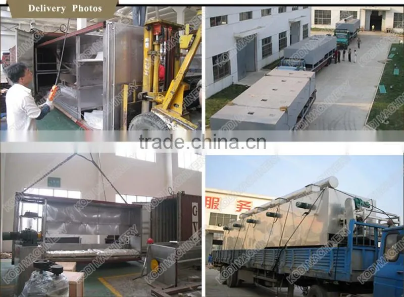 DW Model Continuous Sunflower Seeds Mesh Conveyor Belt Dryer