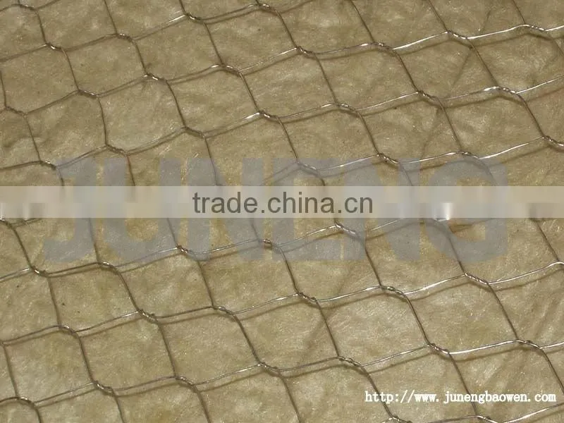 Stainless Steel Wire Mesh