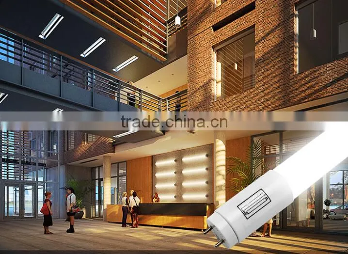 Shenzhen 2835smd 10w 600mm Led T8 Tube
