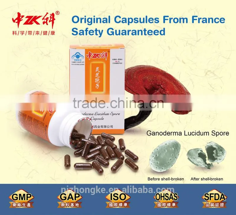 Chinese Organic Natural Herbs Lingzhi P.E. Extract GMP factory