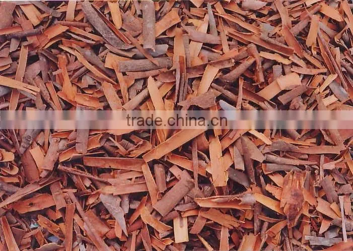VIET NAM SQUARE CASSIA / CINNAMON BEST PRICE