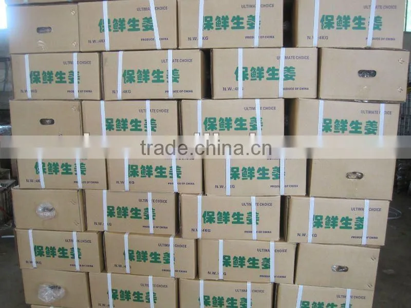 China ginger