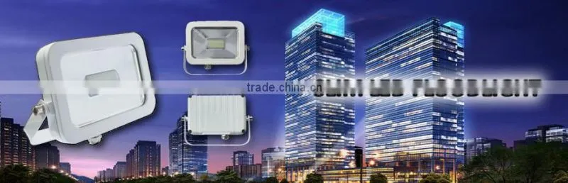 led 10w floodlight fixture with sensor